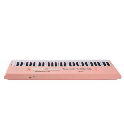 Alomejor 54 Key Electronic Keyboard, Plastic Portable Piano for Kids with Microphone, 8 Tones 6 Songs 5 Rhythms, Educational Musical Toy for Boys Girls Ages 3 4 5 6 7 8 (Pink)