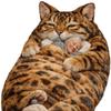 Giant Fluffy Cat Sleeping Bag for Adults - Soft Plush Cat Shaped Sleeping Bag for Human, Cozy & Warm Envelope Style Blanket Animal Shaped Sleep Bags for Home Camping Travel C view 1