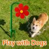 Crazy Daisy Sprinkler, Crazy Daisy Sprinkler Dog, Dancing Flower Water Sprinklers Funny 360 Rotating Sun Flower Dancing Daisy Lawn Sprinkler for Yard Watering Dogs Kids Playing view 2