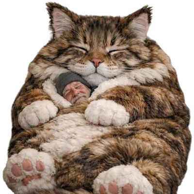 Giant Fluffy Cat Sleeping Bag for Adults - Soft Plush Cat Shaped Sleeping Bag for Human, Cozy & Warm Envelope Style Blanket Animal Shaped Sleep Bags for Home Camping Travel D