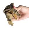 JOKFEICE Crocodile Figurine Realistic Reptile Collectible Model, Nature Decor for Home Office Desk Display Photography Prop Wildlife Enthusiast Gift view 4