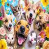 1000 Piece Wooden Jigsaw Puzzle for Adults Happy Animals & Active Mind Dog Home Decor Art Piece Hand-Eye Coordination Activity for Family & Friend Gathering view 1