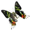 3D Metal Steampunk Butterfly Model Kit, 100+ PCS Mechanical Insect DIY Assembly Kit with Magnetic Floating Display, STEM Engineering Desk Decor Collectible for Enthusiasts (100PCS+/Sunset Butterfly) view 1
