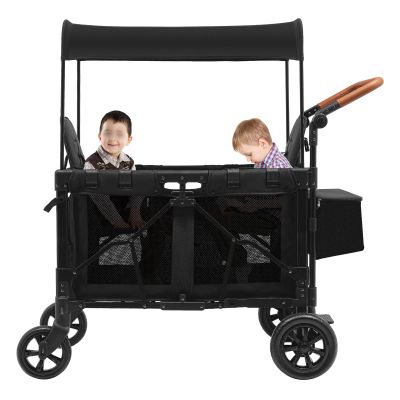 Stroller Wagon for 2 Kids, 2-Seat All-Terrain Wagon Cart with 5-Point Harnesses, Foldable Double Push Bar Wagon Stroller with Sunshade, Large Wheels for Camping Hiking Beach Travel, Black