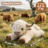 25" | 4.5 Pounds Highland Cow Weighted Stuffed Animals for Kid Adult, Microwavable Stuffed Animal Unscented, Cute Coolable Heatable Weighted Plush Warm Gifts for Christmas Birthday, Large Highland Cow view 2