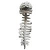 Dinosaur Skeleton Costume, my cozy dino,Silly Dino Plush Skeleton, 3D Spinosaurus Skull Mask & Plush Spine, For Dress-Up Play (47in) view 4