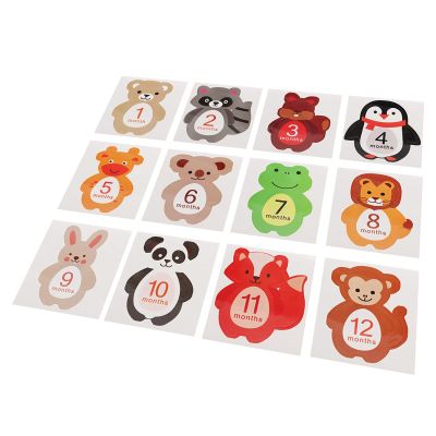 Hilitand 12pcs Monthly Baby Stickers, Cute Cartoon Photo Props for Newborn 1-12 Month Memories, with Easy Peel and Stick Design