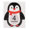 Hilitand 12pcs Monthly Baby Stickers, Cute Cartoon Photo Props for Newborn 1-12 Month Memories, with Easy Peel and Stick Design view 3