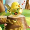 Funny Whistles Toy Bird Water for Kids Musical with Lanyard Noise Makers Water with Lanyard Funny for Kids Musical Noise Maker view 2