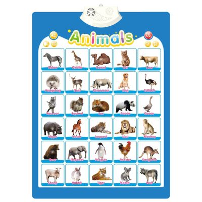 Interactive Wall Chart Toy for Toddler Cogntive Skill Educational and Learning Toy Enhancing Proficiency for Preschools English Learning Wall Chart