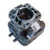 Cylinder And Piston Kit 44mm Compatible With TJ53E TJ53 view 3