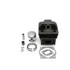 ARzbEWmC Replacement 44mm & 40mm Cylinder Piston Kit Fit for 44-5 & 40-5 Brush Cu Engine 44F 5 & 40F 5(40-5) view 1