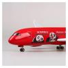 ALHROEUO Miniature Scale 1 130 for Hainan Airlines Panda Boeing 787 Resin Airplane Airbus with Light Wheels Toy Collection Display Flying Toy Game Kits(No Light) view 2