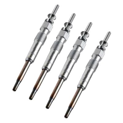 Car Dual Core 3165144008873 12237786869 0250402002 for X3 X5 2004 2005 2006 2007 2008 2009 2010 Car Accessories Heater Diesel Glow Plugs