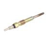 0250402005 N10591602 for VW For Golf MK5 2003-2008 For EOS 1F7 1F8 2006-2008 Glow Plugs Diesel Heater For Spark Plug view 2