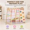 9-in-1 Indoor Playground for Toddlers, Montessori Wooden Jungle Gym Kids Climbing Indoor with Slide, Swing, Monkey Bars, Rock Wall, Rope Ladder & Net, Activity Playset for Boys Girls view 3