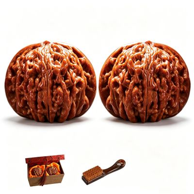 Natural Chinese Wenwan Walnuts, with Cleaning Brush and Gift Box - Hand Therapy Stress Relief Meditation Balls, Gift for Fathers and Collectors1 Set
