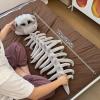 2026 New Dinosaur Skeleton Costume, 3D Spinosaurus Skull Mask & Plush Spine, for Dress-Up Play (Green,47in) view 2
