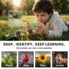 Kids Learning Camera for Ages 3-10, 5-Language Learning Toy, Snap & Learn Recognition, Parent App Control, 4G LTE & Wi-Fi, 5 Learning Guides, 32GB, Back to School Gifts, Green view 2