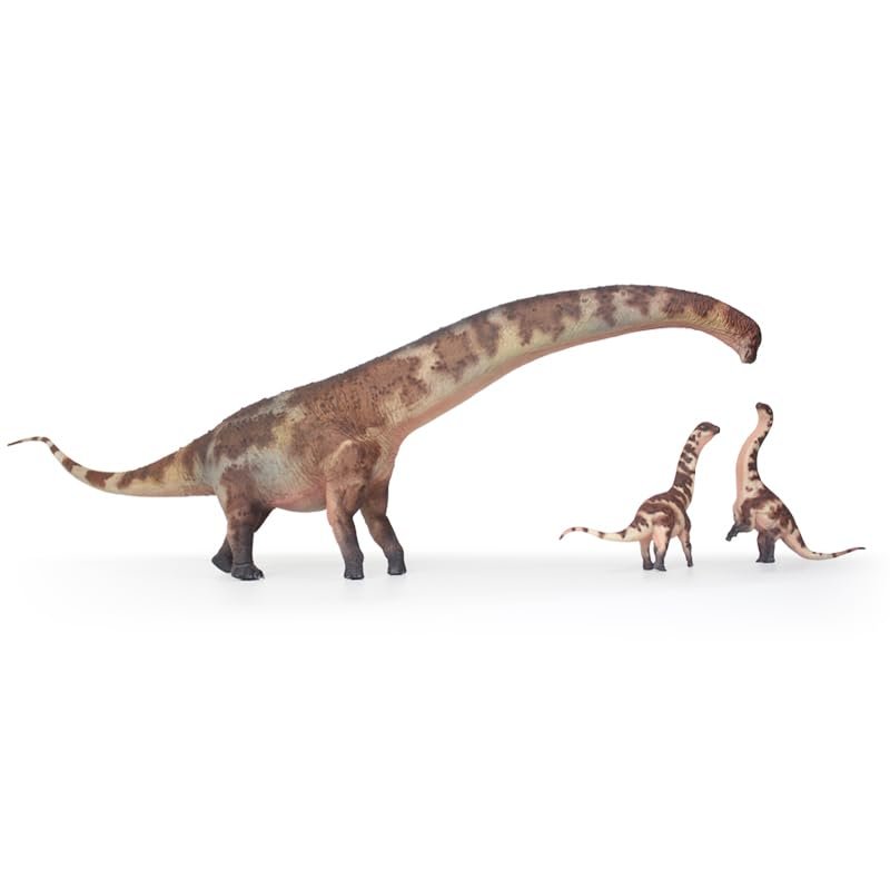 HAOLONGGOOD New Dreadnoughtus 135 Science and Art Model (Xiong Kuo Hai)