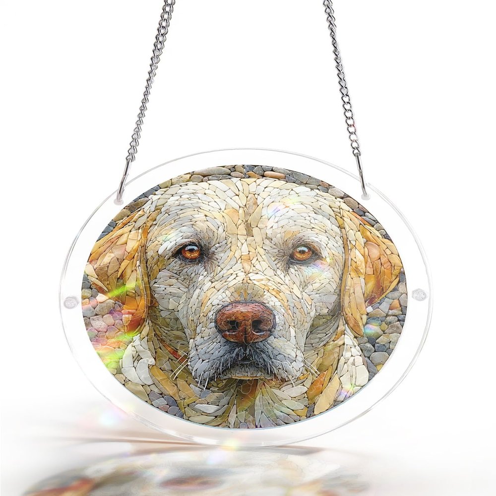 Hithespo Acrylic Puzzles Suncatcher Window Hanging,Sun Catcher Acrylic Puzzle Decoration for Women Men, DIY Suncatcher Kits for Adults Home Decor (Stone Dog, S)