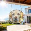 Hithespo Acrylic Puzzles Suncatcher Window Hanging,Sun Catcher Acrylic Puzzle Decoration for Women Men, DIY Suncatcher Kits for Adults Home Decor (Stone Dog, S) view 3