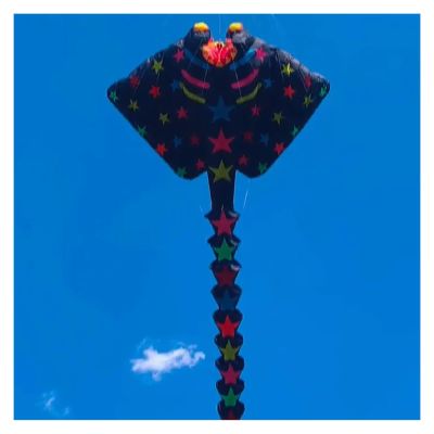 15m Ray Kite, Soft Multi-Color Fabric Splicing Skate Pendant Outdoor Wind Sock Windsock Easy to Fly