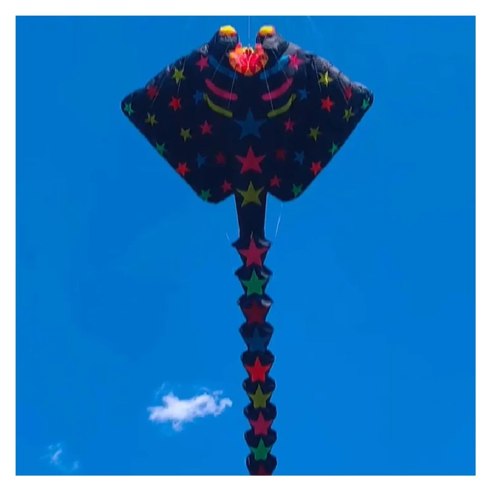 15m Ray Kite, Soft Multi-Color Fabric Splicing Skate Pendant Outdoor Wind Sock Windsock Easy to Fly