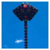 15m Ray Kite, Soft Multi-Color Fabric Splicing Skate Pendant Outdoor Wind Sock Windsock Easy to Fly view 2