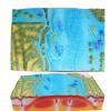 3D Plate Tectonics Model for Middle & High School view 3