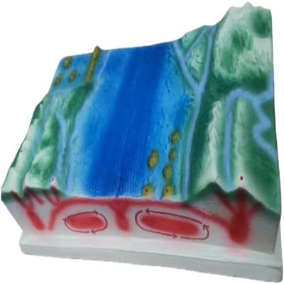 3D Plate Tectonics Model Kit for Geology Science Teaching Aids Includes Sea-Floor Spreading, Mountain Formation & Earth Layers Demonstration