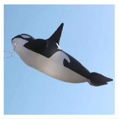 10m Killer Whale Soft Kite, 3D Flying Big Fish Giant Large Easy to Fly