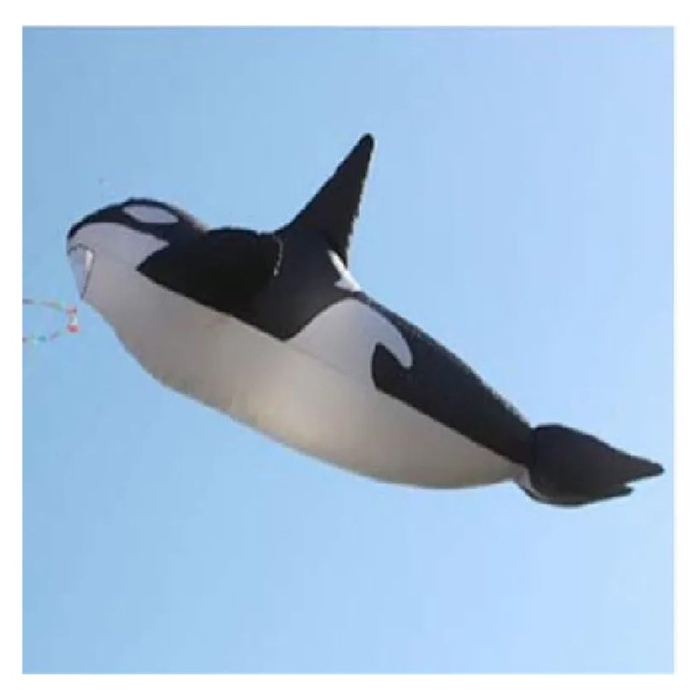 10m Killer Whale Soft Kite, 3D Flying Big Fish Giant Large Easy to Fly