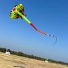12.5M 3D Soft Ray Kite, Large Animal Beach Kites Easy to Fly Easy to Fly(B) view 2