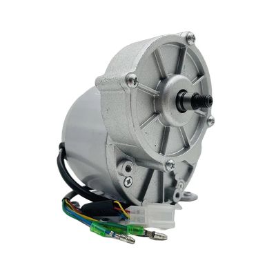 12V/24V 250W-500W Brushless DC Gear Motor - MY1018z with Mounting Feet, High Torque Reduction(24V250W with feet)