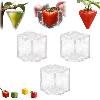 Fruit Shaping Mold for Growing Unique,Creative DIY Garden Fruits Shaper Tool,Small Fruit Mold for Transparent Plastic,Reusable Vegetable Molds for Garden (3PC)