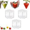 Fruit Shaping Mold for Growing Unique,Creative DIY Garden Fruits Shaper Tool,Small Fruit Mold for Transparent Plastic,Reusable Vegetable Molds for Garden (3PC) view 1