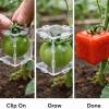 Fruit Shaping Mold for Growing Unique,Creative DIY Garden Fruits Shaper Tool,Small Fruit Mold for Transparent Plastic,Reusable Vegetable Molds for Garden (3PC) view 3