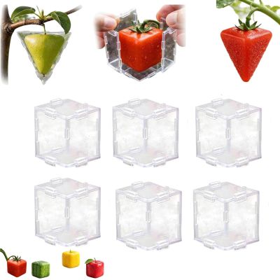Fruit Shaping Mold for Growing Unique,Creative DIY Garden Fruits Shaper Tool,Small Fruit Mold for Transparent Plastic,Reusable Vegetable Molds for Garden (6PC)