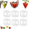Fruit Shaping Mold for Growing Unique,Creative DIY Garden Fruits Shaper Tool,Small Fruit Mold for Transparent Plastic,Reusable Vegetable Molds for Garden (6PC) view 1