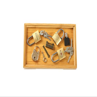 LLTCMAOYI Montessori 5-Keys Lock Sets, Wooden Montessori Materials Learning & Education Toys,Bamboo Trays