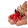 1pc Movable Hermit Crab 3D Printed Articulated Animal Model Poseable with Joints Realistic Sculpture Home Office Desk Ornament view 1