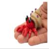 1pc Movable Hermit Crab 3D Printed Articulated Animal Model Poseable with Joints Realistic Sculpture Home Office Desk Ornament view 2
