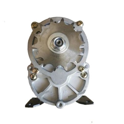 12V24V500W Fried Chestnuts, Dried Peanuts, DC Motor 200 RPM, Large Torque, Fertilization Motor(24V500W Pulley Model)