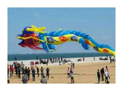 15m / 30m Flying Dragon Soft Kite Pendant, Large Huge Inflatable Line Laundry Random Color Easy to Fly(15m)