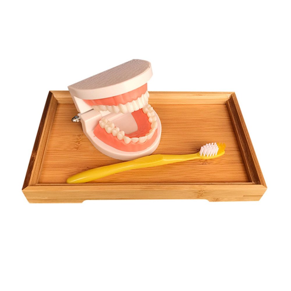 LLTCMAOYI Montessori Teeth Brushing Model with Toothbrush Toys, Practical Life Toy for Toddlers,Tooth Model with Bamboo Tray