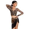 2026 Latin Dance Professional Costume Girls Latin Dance Performance Clothes Kids Long Sleeves Latin Top Fringed Skirt (Leopard 2pcs,150cm) view 1