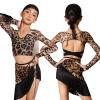 2026 Latin Dance Professional Costume Girls Latin Dance Performance Clothes Kids Long Sleeves Latin Top Fringed Skirt (Leopard 2pcs,150cm) view 4