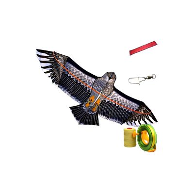 Kite with Storage Bag, Hook & Reel