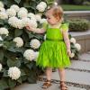 BABWWNIX Kid Girls Fairy Costume Princess Dress Up Set Halloween Cosplay Green Dress Costume with Butterfly Wing (Dress+Butterfly Wings+Fairy Stick+Hairband, 11-12 Years) view 3